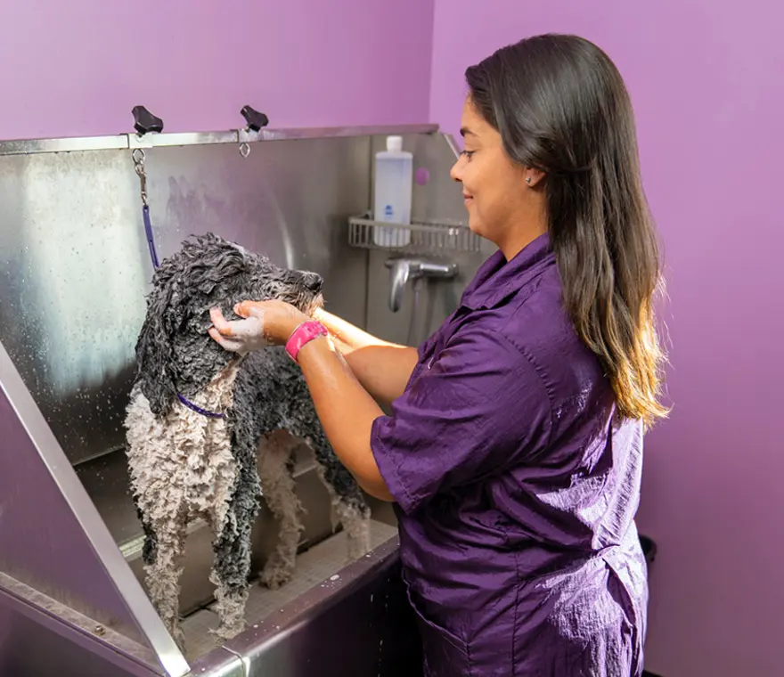 Bath & Touch-up
